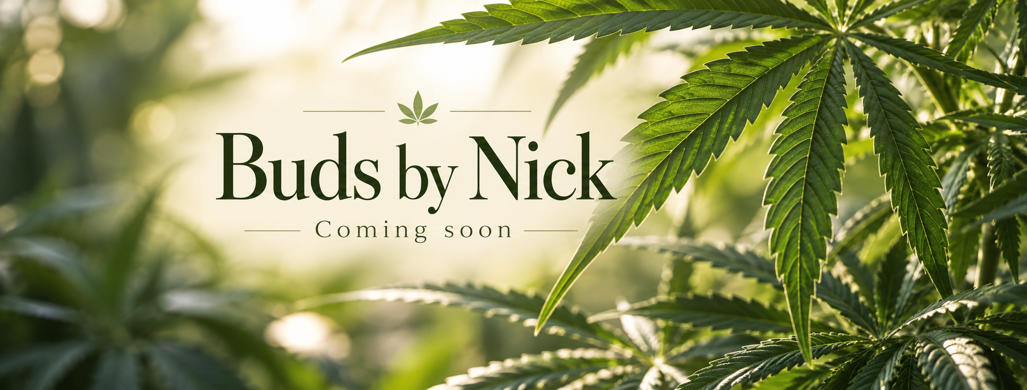 Buds by Nick banner